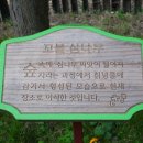 다원여행사 - 12205 | 다원여행사