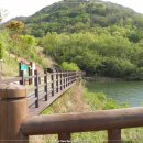 옥성자연휴양림 이미지