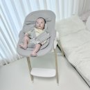 두리하우스 | 신생아 두리 하이체어 뉴본 바운서 내돈내산 후기