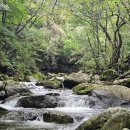 08월 23일(토)화악산 6기 기념산행 이미지