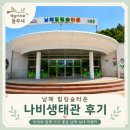 남해 힐링숲타운 나비생태관 후기 아이와 가기 좋은 실내 체험 여행지