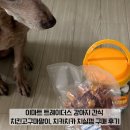 치카치카치킨 이미지