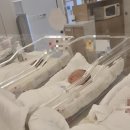 수원 CU 쉬즈메디병원점 | [출산일기] 수원 쉬즈메디 산후조리원 - 프라우디산후조리원 / 경산모 제왕절개 / 일반실후기