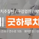 연제굿하루치과의원 네이버블로그
