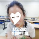 인천원예협동조합 | 원예수업 장애인원예수업 여름 작품 만들기 테라리움 마리모 초등원예 중학생원예 인천소재 주민센터