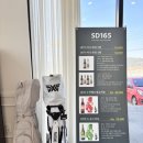 에스디(SD)165 이탈리안레스토랑 네이버블로그