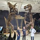 공룡한의원 | ˖⁺‧₊˚2025년 10월 넷째 주 일상♡˚₊‧⁺˖