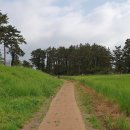 제주 올레길 16코스 이미지