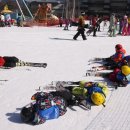 해냄스포츠클럽 차돌합기도 이미지