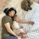 우리 아기의 예쁜 돌잔치 / 대구 스냅 돌잔치 식당