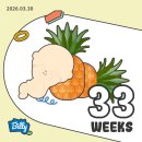 (주)네시삼십삼분 | [임신기록] 임신일기 임신말기 임신후기증상 임신 33-34주차
