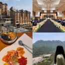 옛길 플라워 | 속초 고성 델피노 웨딩 상담 계약 뷔페 후기 총정리 결혼식장 5곳 비교