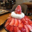 설빙 Daum카페