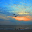 노을바다 이미지