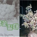 광산구 청소년수련관 공연장 이미지