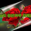 좋은아침입니다(짝퉁) 이미지
