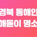 왕김밤(환호해맞이점) | 경북 동해안 해돋이 명소 BEST 7: 잊지 못할 감동의 순간