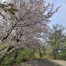 춘산 - 중구 | 춘산