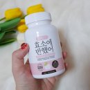 럽핏