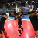 용인대스포츠아카데미 이미지