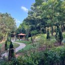 그늘막94 이미지