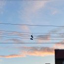 해안도로주유소 이미지