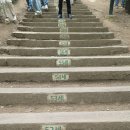 (주)충무공에너지 | (여행후기) 목포 해상캐이블카를 타고 간 고하도.
