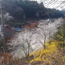 숲속펜션 이미지