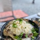 둥지애견 이미지