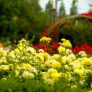 배산공원 이미지