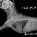 고척원동물의료센터 이미지