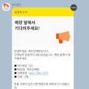 제주선채향 이미지