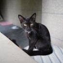 2875 | [카메라] 탐론 2875 G2 지름 후기 (소니 A7M3 마운트) - 소니 써드파티 렌즈 추천