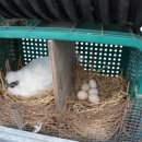 시골쉼터 이미지