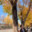 효자로L 이미지