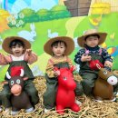 신관농장 이미지