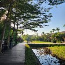 포레스트모가 | 14일차. 우붓 5일 머물기. 브런치 피손 우붓. 몽키포레스트. 우붓 CaHaYa 마사지. 우붓 티켓투더문...