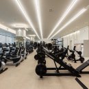 탑 휘트니스 이미지