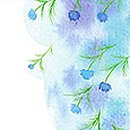 THE 드림 태권도 이미지