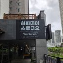 터칭힐 | 광교 사진관, 하파데이 스튜디오 보정 맛집 강아지 가족사진 촬영 솔직후기