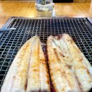 애견명가 이미지