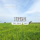 자연바다식품 | 가파도 청보리 여행 운진항 운항 정보, 가파도엔 청보리아이스크림 후기