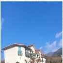 로뎀펜션하우스 이미지