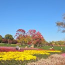 순천만국가정원 동문안내소 이미지