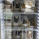 멍냥잡화점 이미지