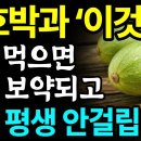 애호박과 함께 먹으면 보약되는 음식 3가지와 레시피 총정리! 값비싼 영양제 대신 '이것' 드세요 이미지