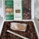 장전길농장 이미지