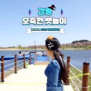 율곡자동차 | 강릉 오죽헌 뱃놀이 커피보트 체험 예약방법 및 현장 꿀팁