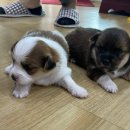 태안카페드림 이미지