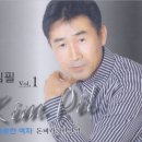 김*필 네이버블로그